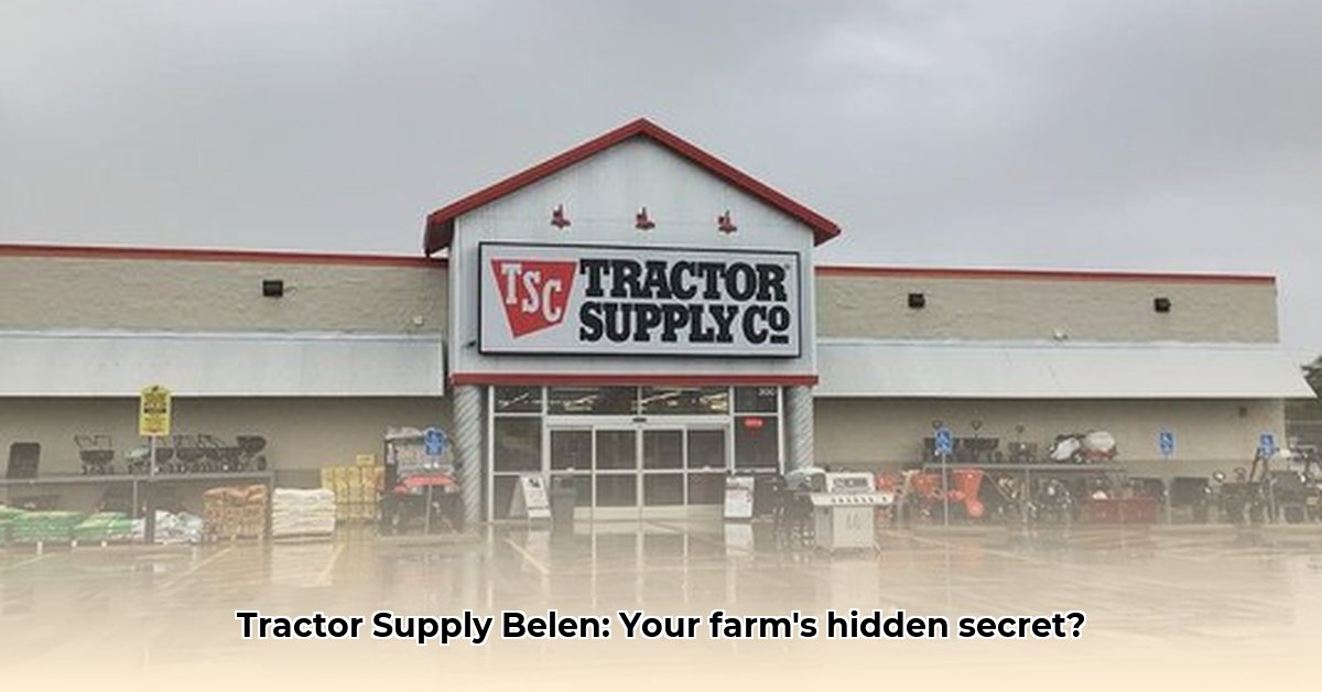 tractor-supply-belen